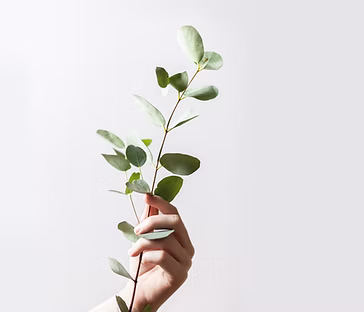 Holding a Branch