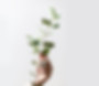 Holding a Branch